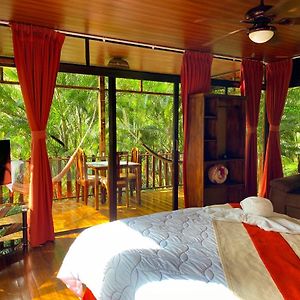 Glass Bungalow | 1 Queen Bed & Sofa Bed
